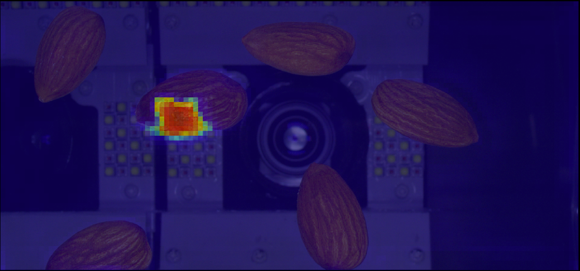 虫ズル。AIヒートマップ画像。
