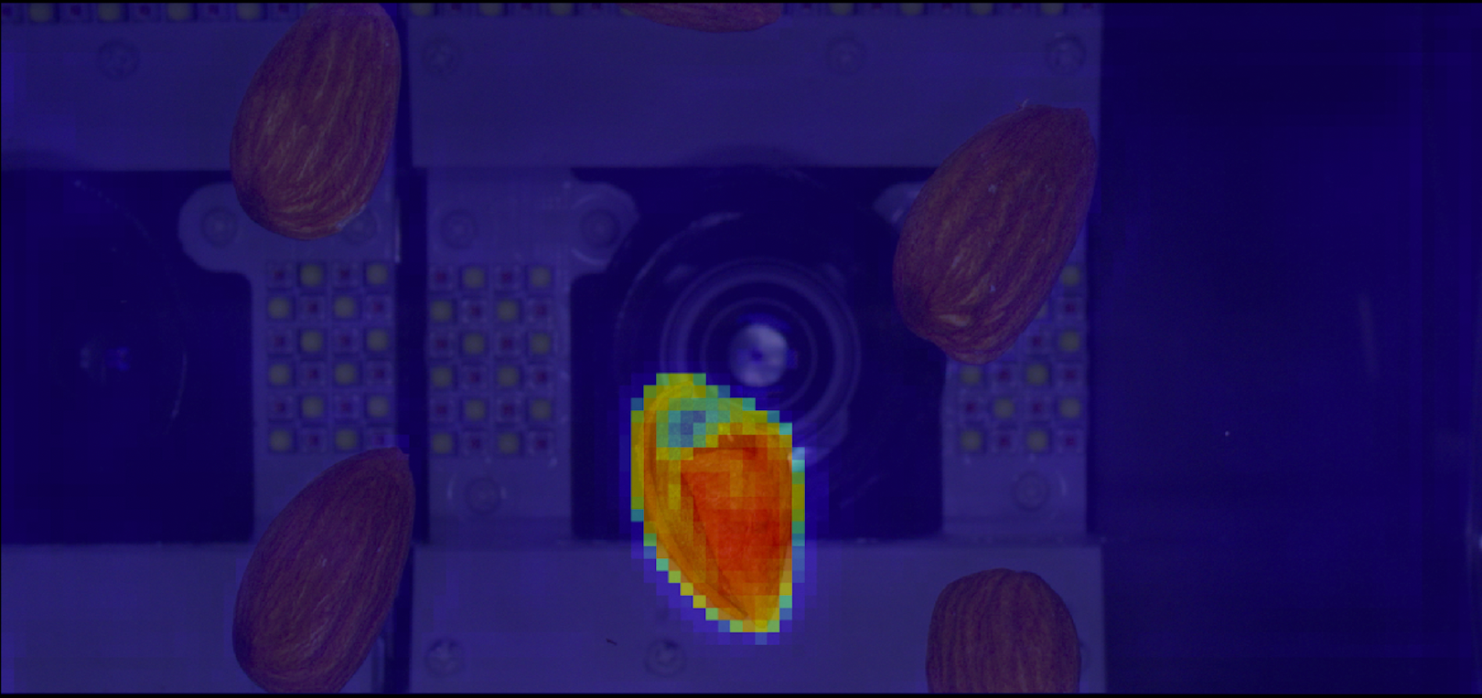 殻つき。AIヒートマップ画像。