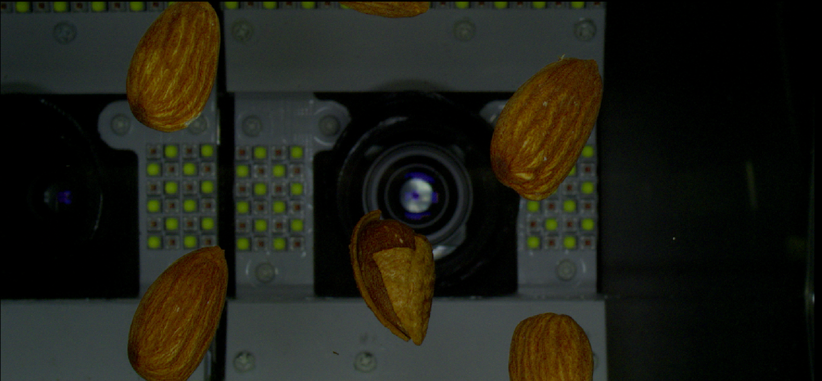 殻つき。検出画像。