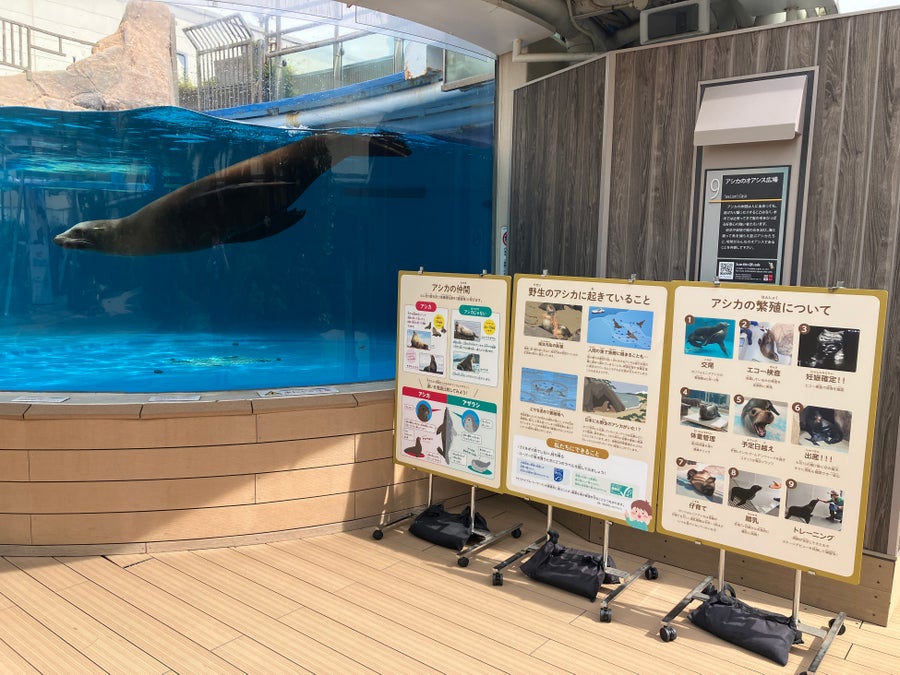 サンシャイン水族館の体験イベント