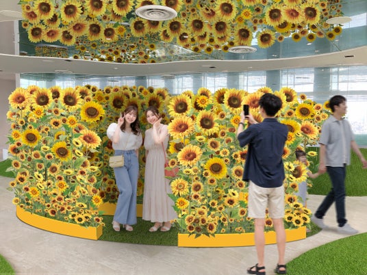 約550本のひまわりに囲まれて、“日本の夏”を満喫!「てんぼうパークの夏景色」猛暑や紫外線を気にせず快適に過ごせる“空の避暑地”*7月9日(木)~8月31日(月)* 約550本のひまわりに囲まれて、“日本の夏”を満喫!「てんぼうパークの夏景色」猛暑や紫外線を気にせず快適に過ごせる“空の避暑地”*7月9日(木)~8月31日(月)*