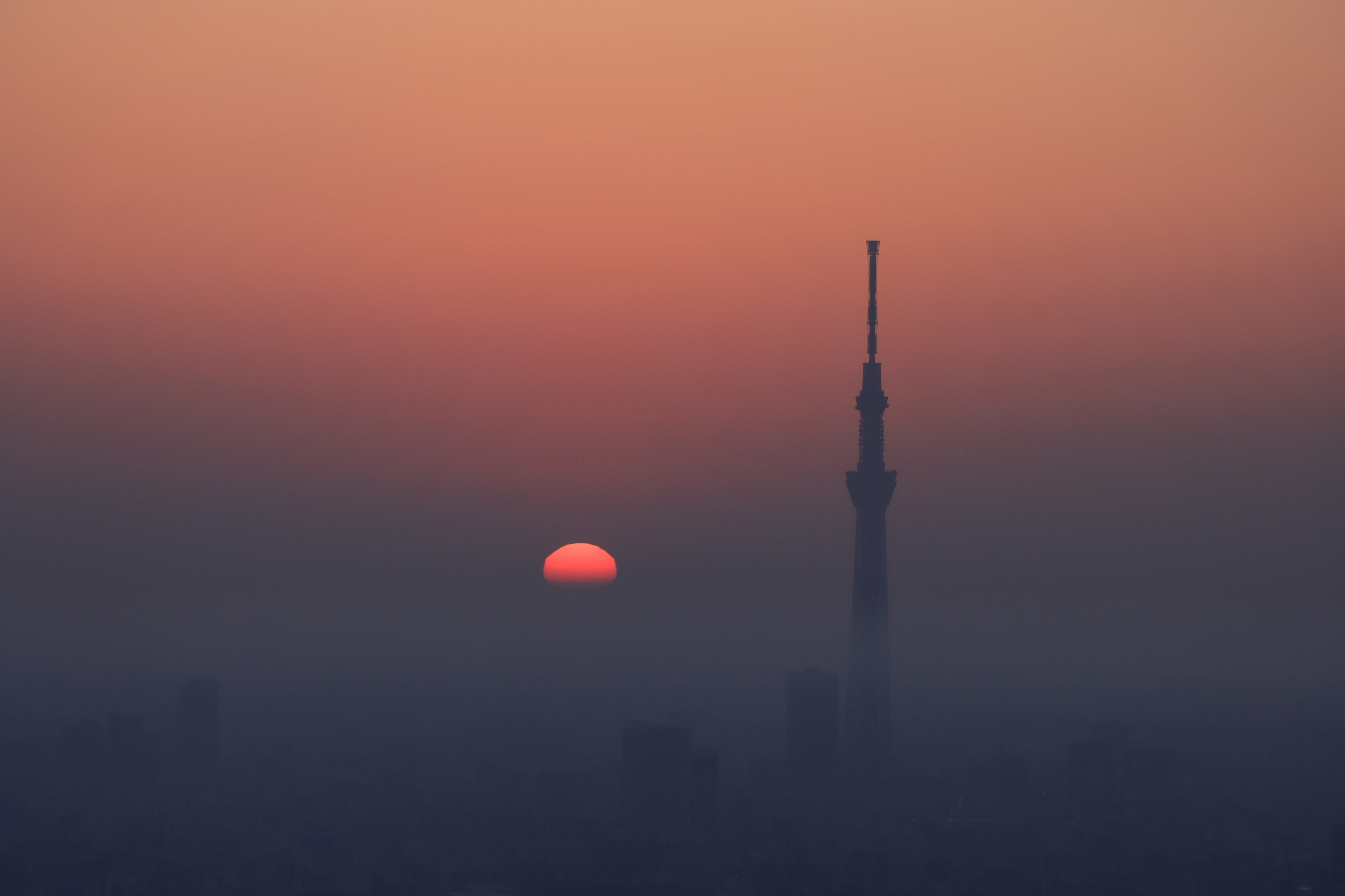 (サンシャイン60展望台から撮影)