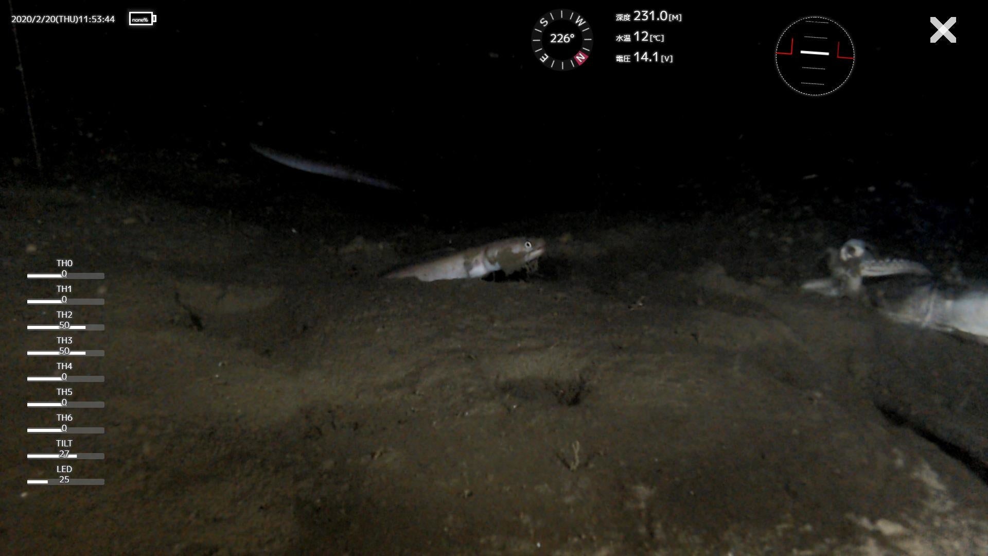 水中ドローンで撮影した映像