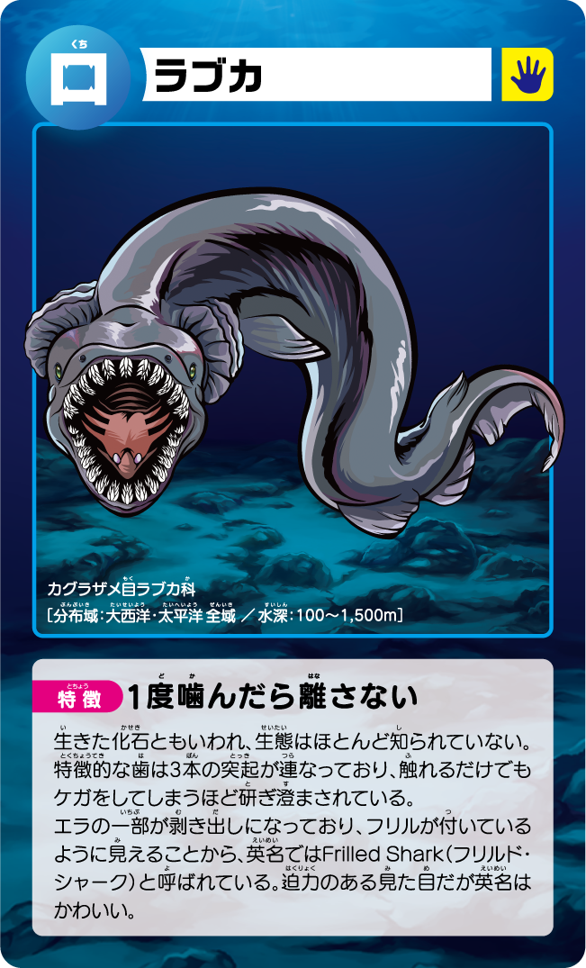 ゾクゾク深海カード（ラブカ）