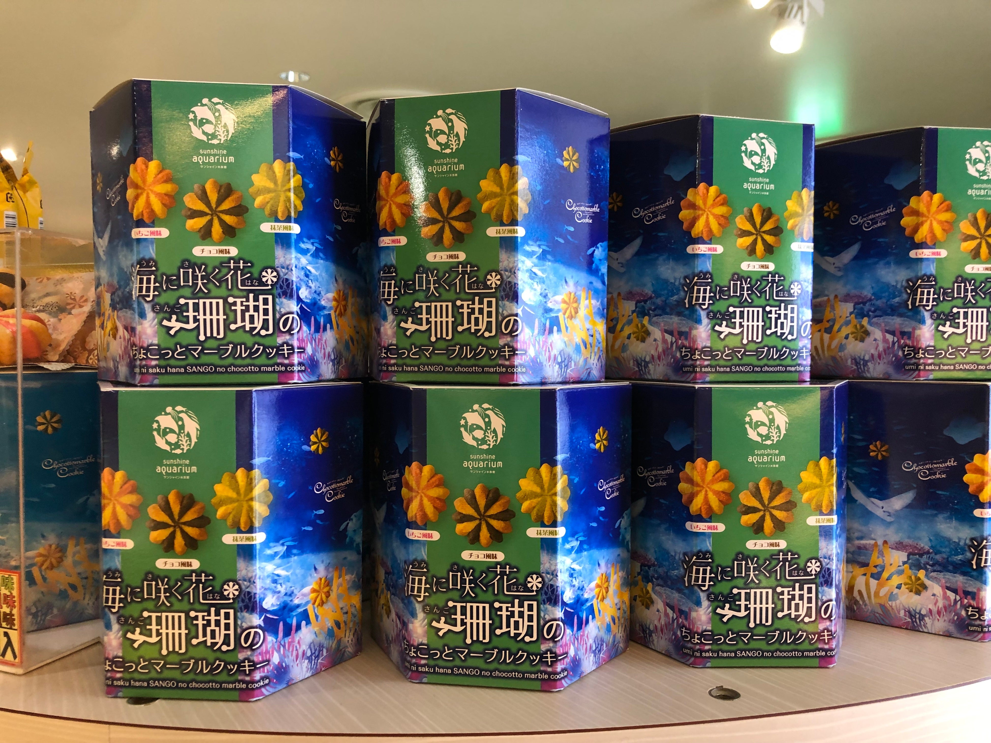 海に咲く花　 珊瑚のマーブルクッキー 540円