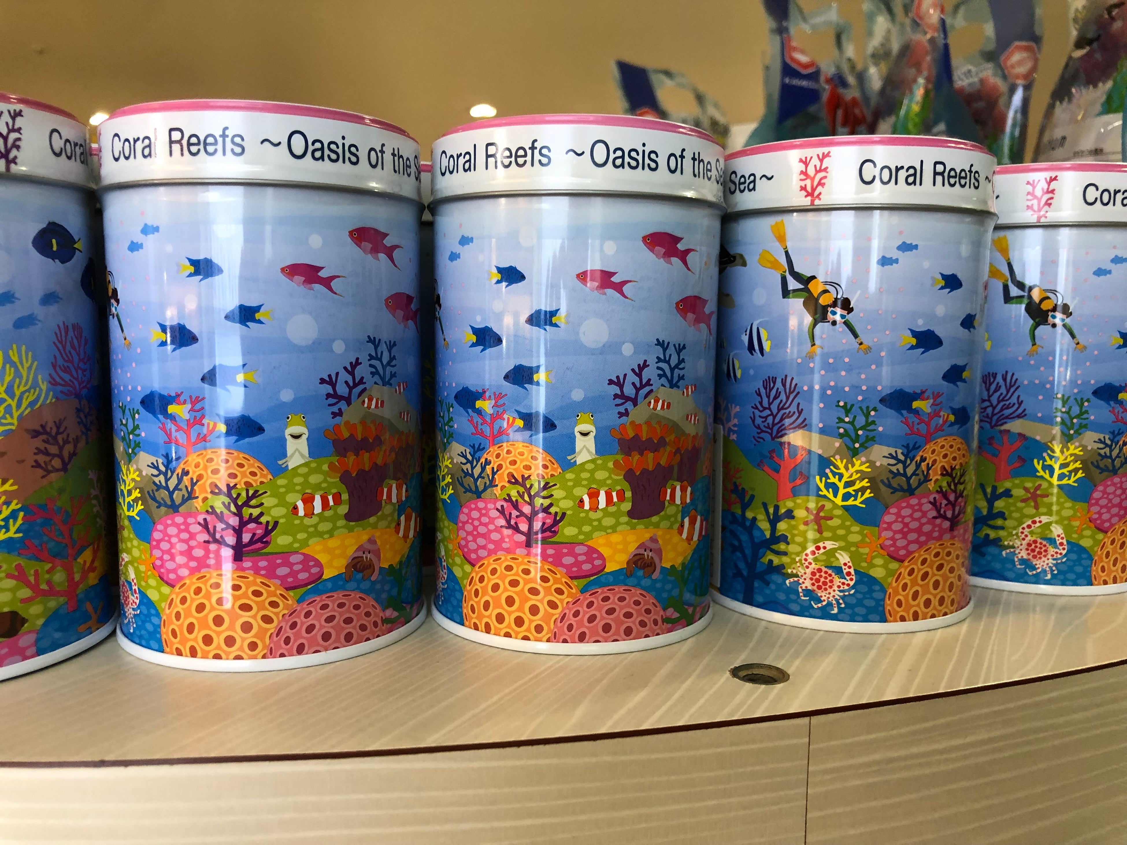 サンシャイン水族館オリジナル　 チョコクリームロール 626円