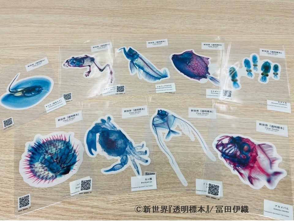 透明標本　クリアステッカー (各440円)