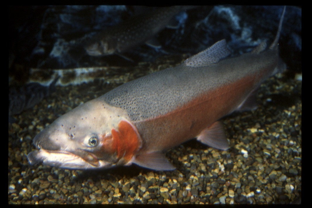 正体は？？？＜生態展示あり＞