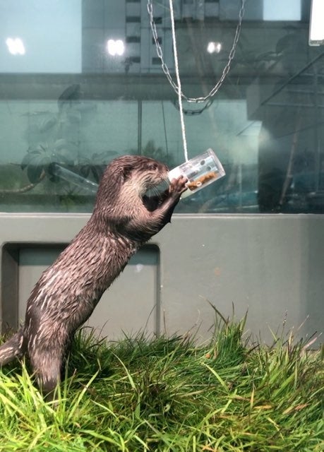 水族館&いきものを深堀り！発見がいっぱい！いきもの