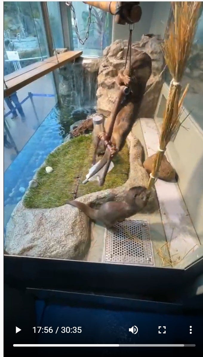 誕生日当日のインスタライブの様子