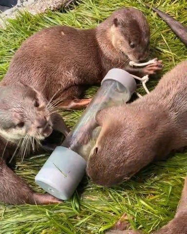 透明アクリル筒フィーダー