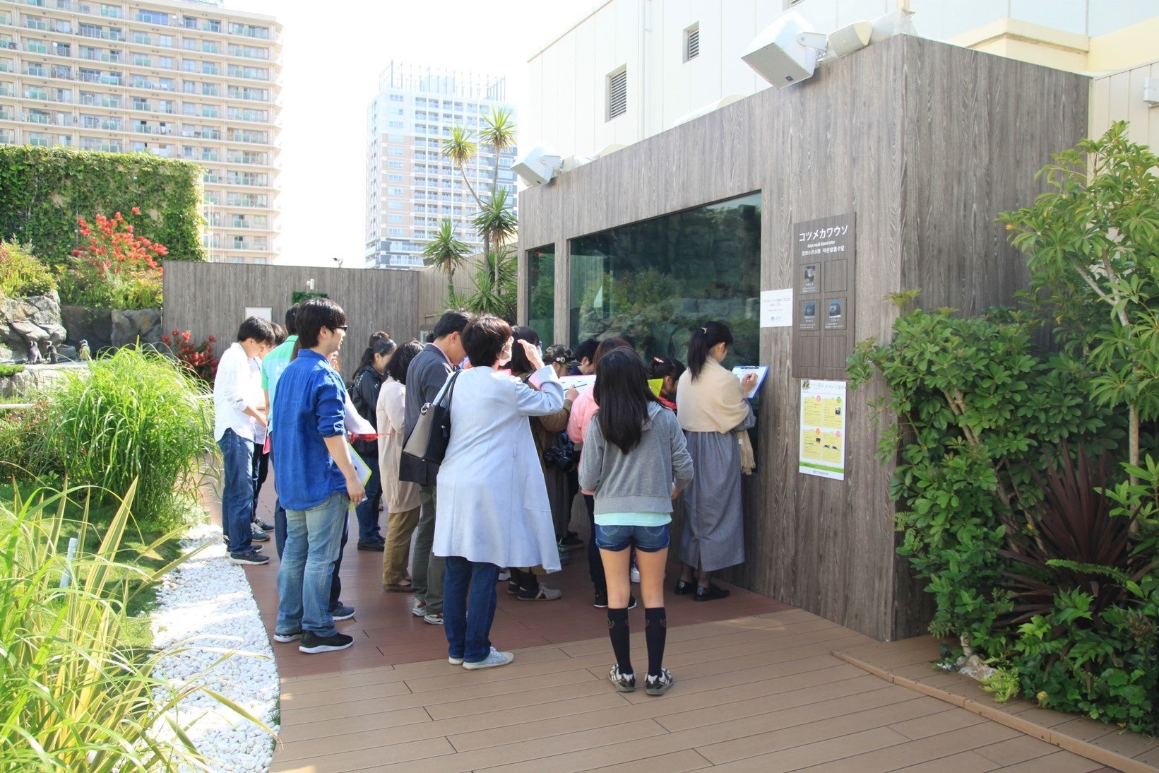 過去開催時 参加者がカワウソを観察する様子