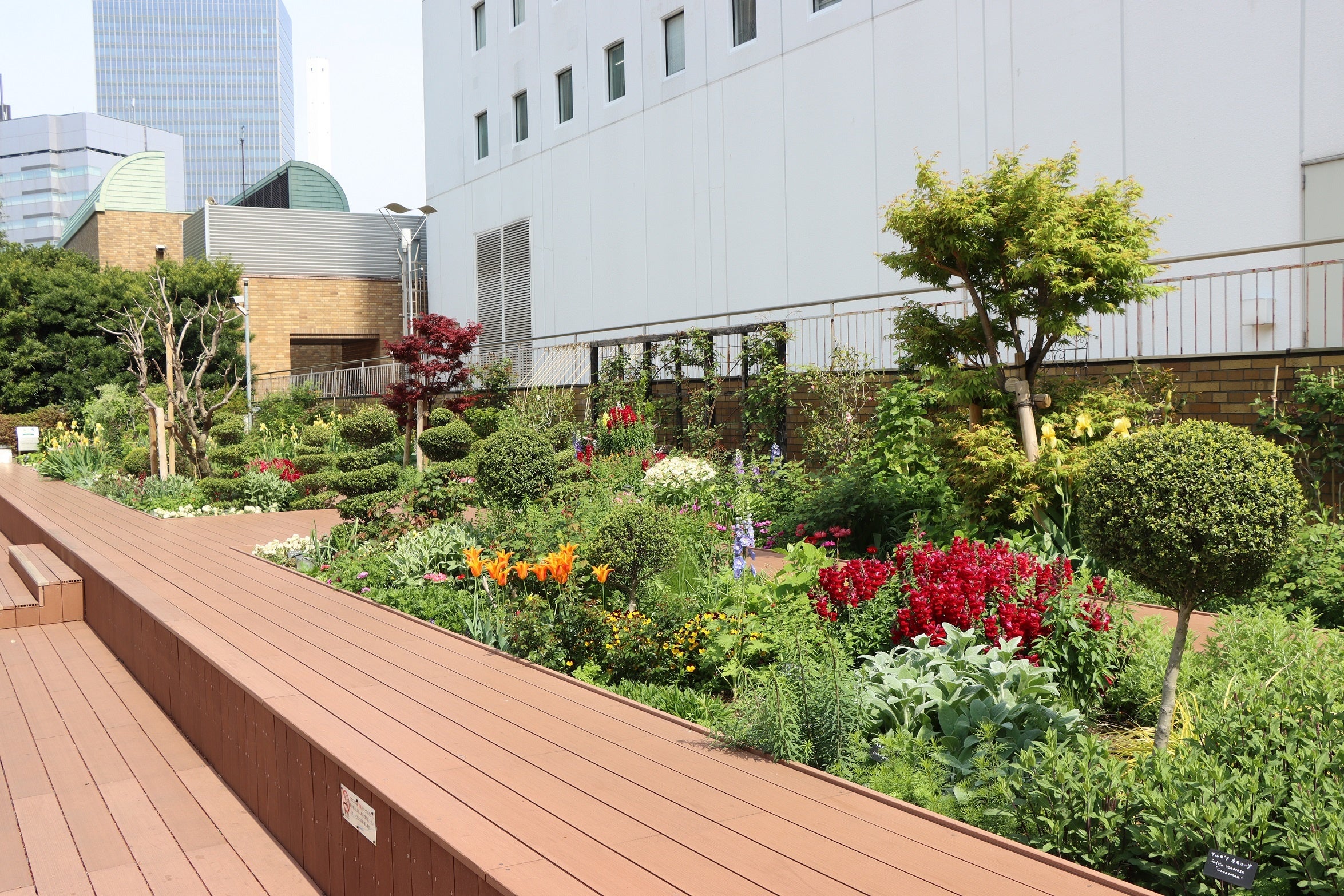 サンシャインガーデン