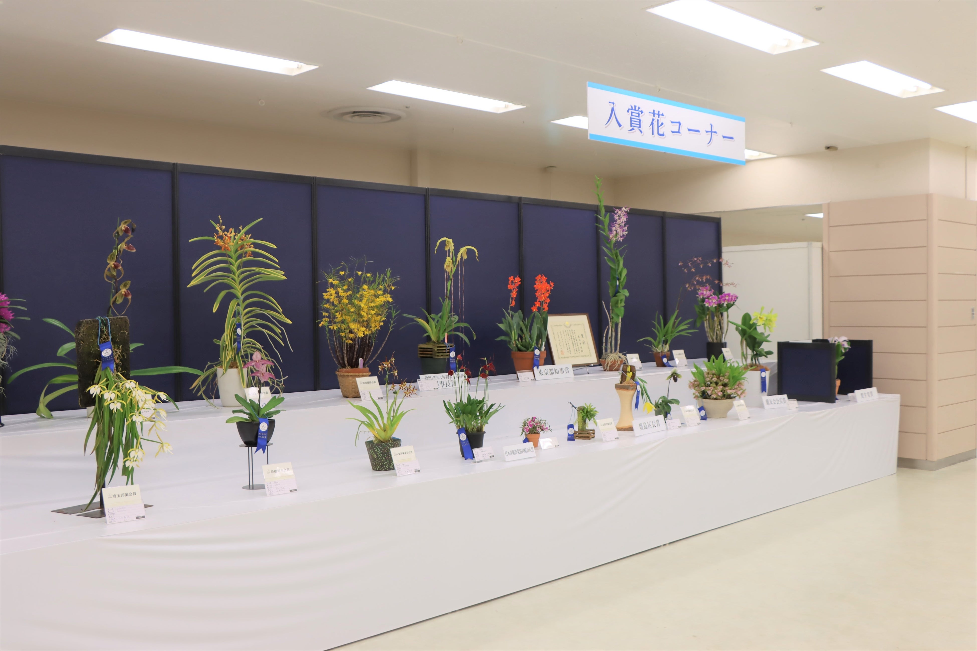 前回の会場の様子