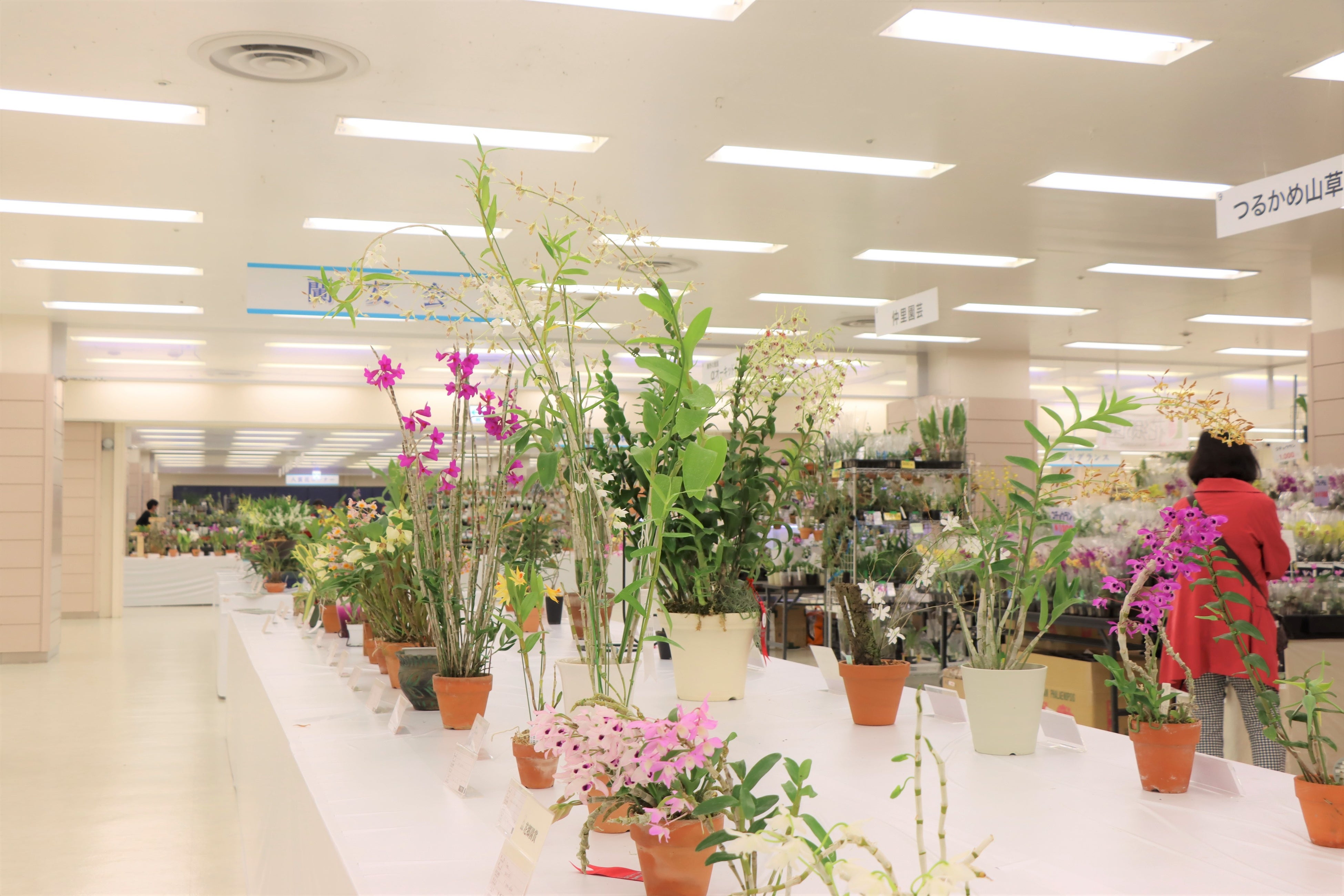 前回の会場の様子