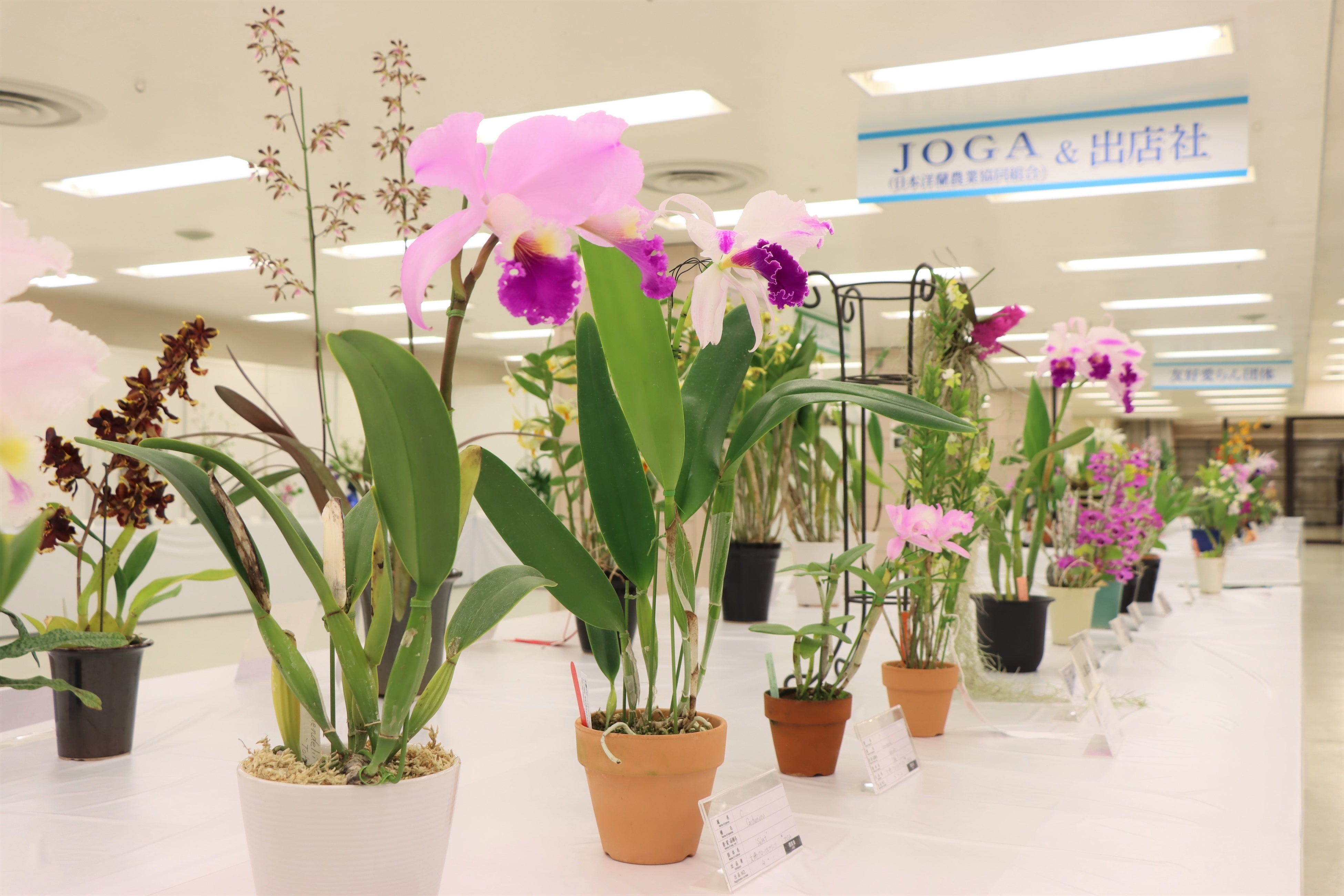 前回の会場の様子