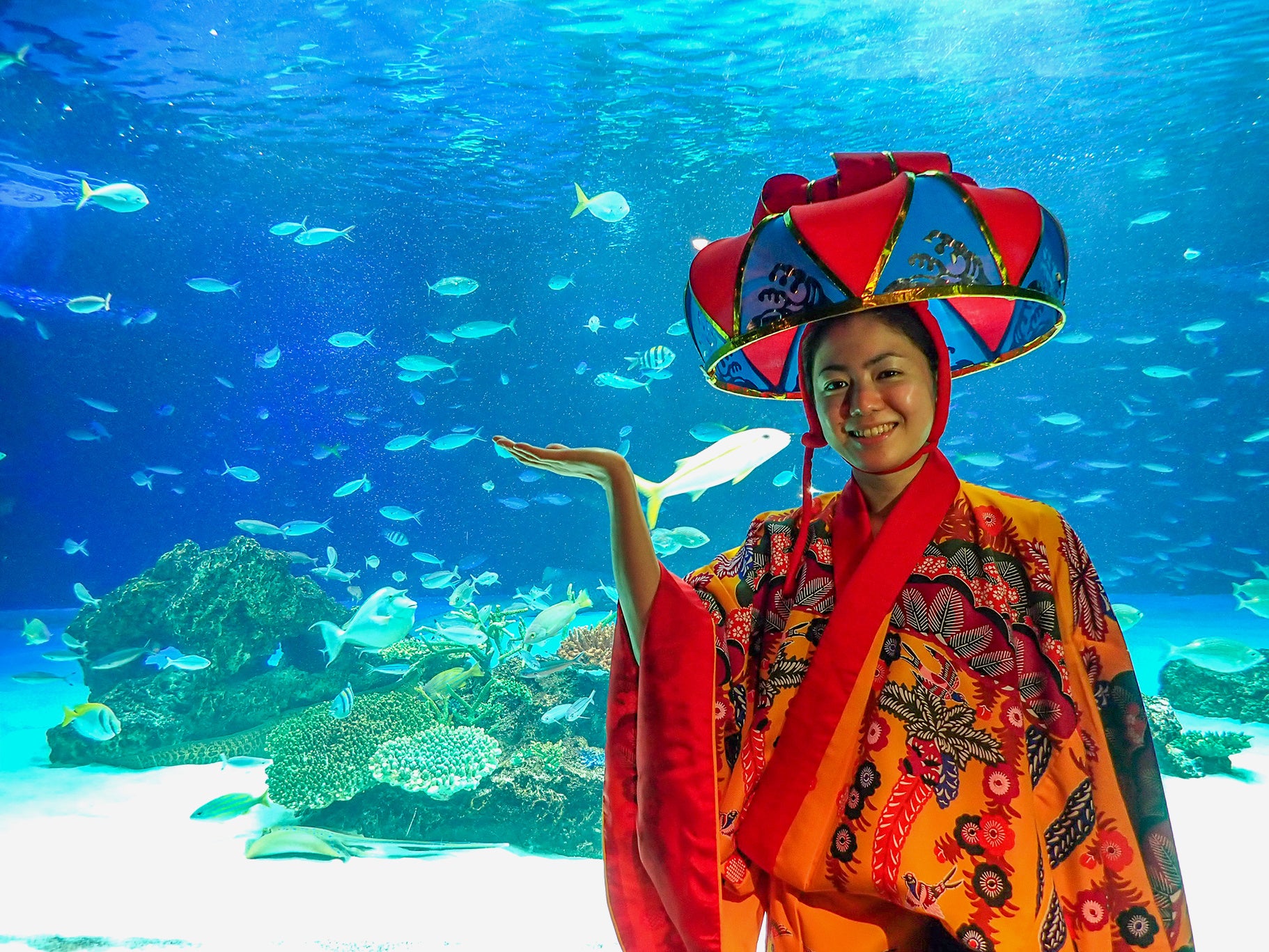 南国の浅瀬をイメージした大水槽 「サンシャインラグーン」