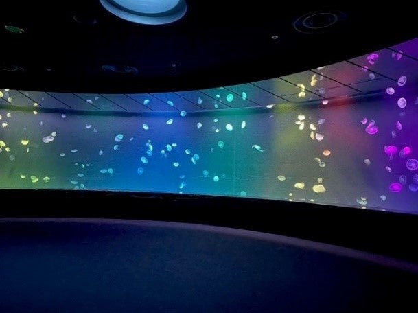 海月空感「クラゲパノラマ」水槽