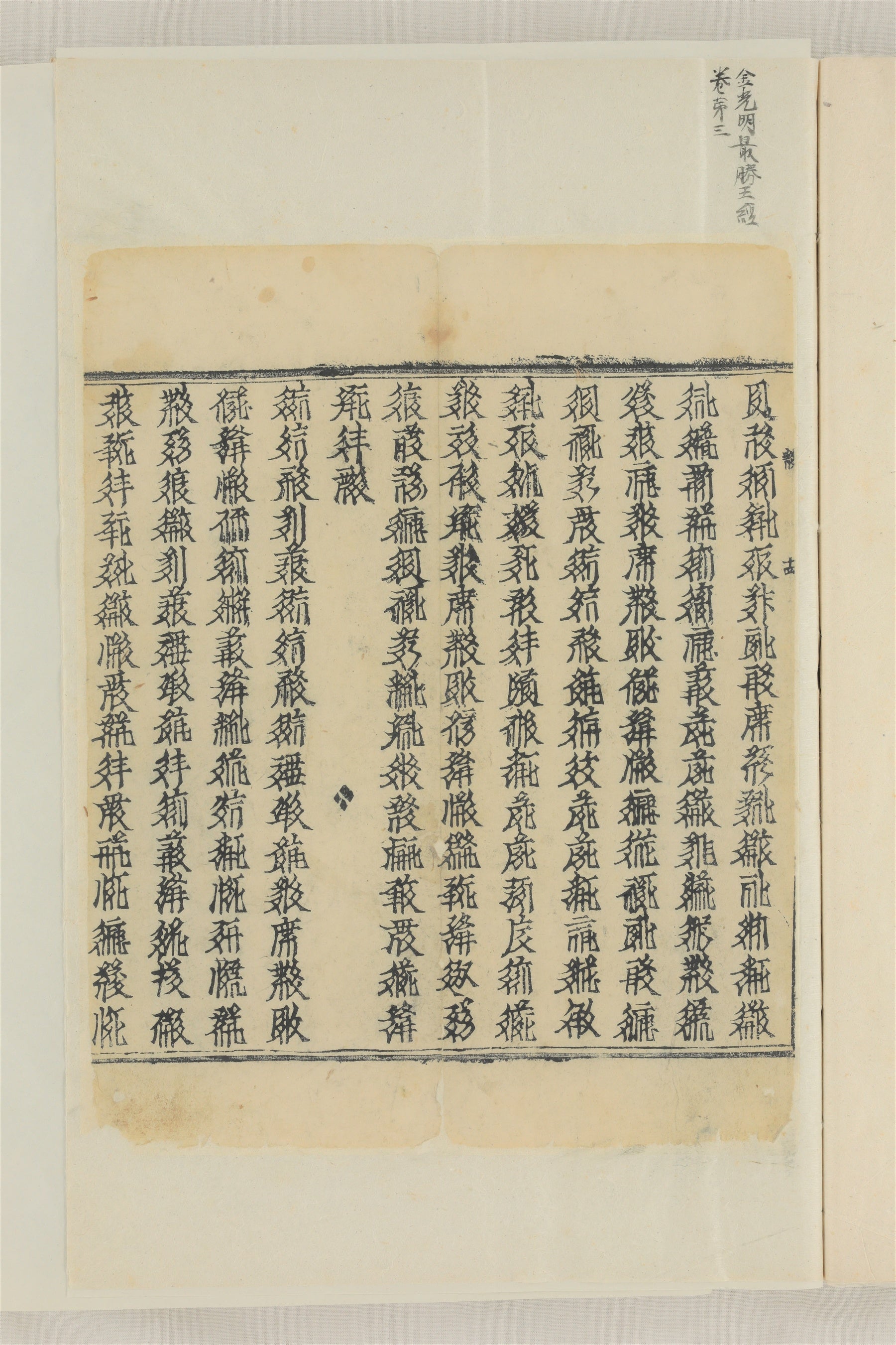 西夏経断簡 （せいかきょうだんかん）