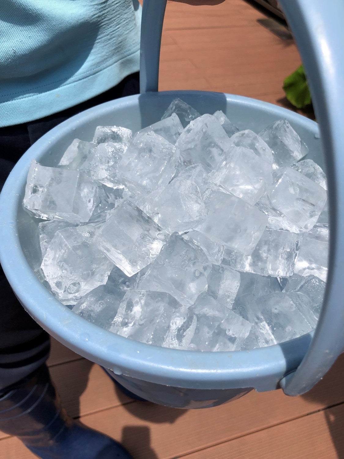 氷をあげて氷に慣れてもらう