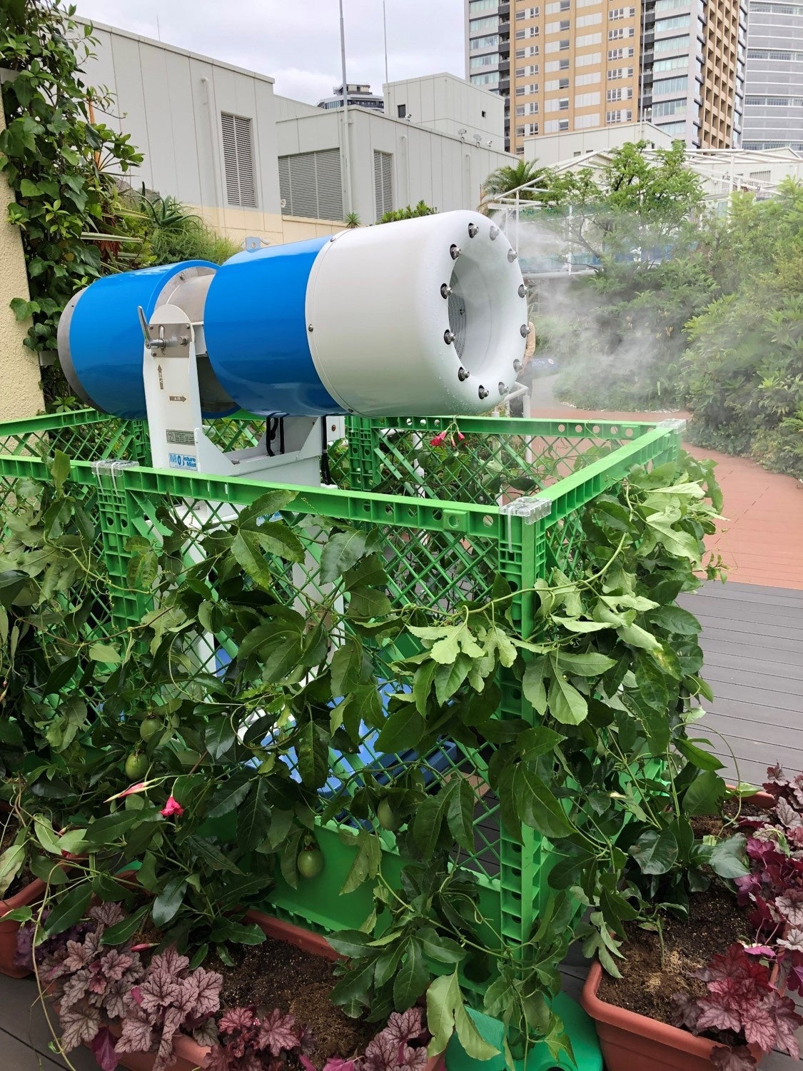 大型ミスト扇風機