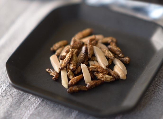 昆虫食付き入場券の昆虫食