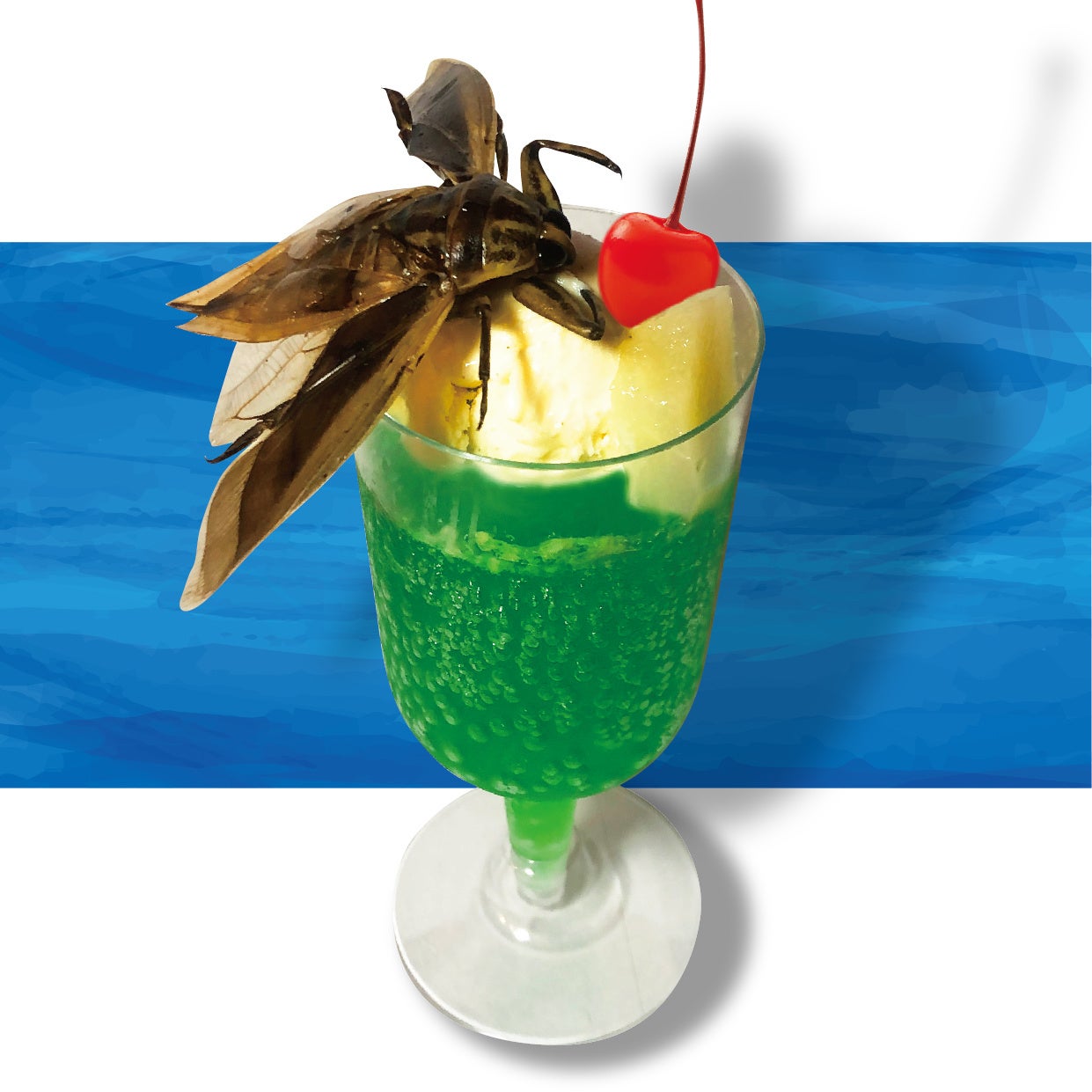 タガメゼリー(900円)【各日限定20食】