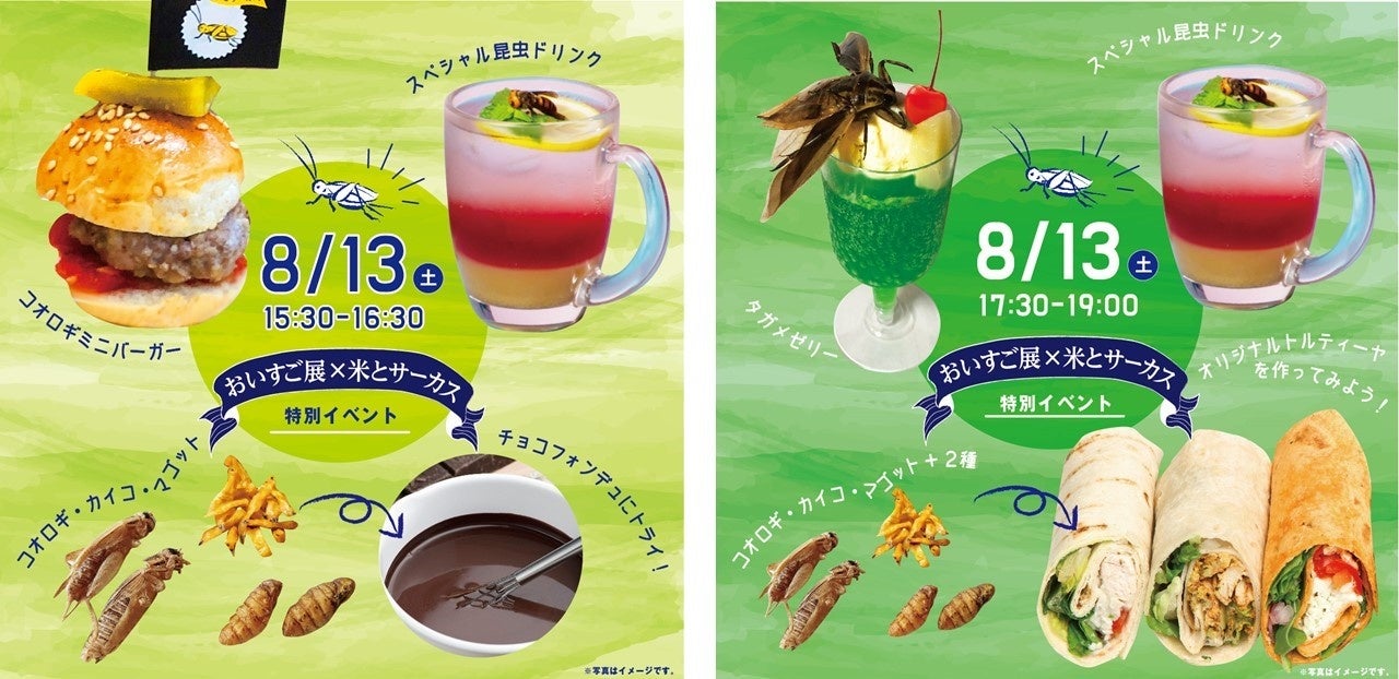 話題の昆虫食を体験⁉ バグクッキング