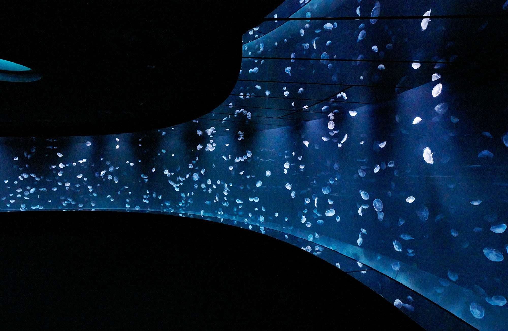 海月空感「クラゲパノラマ」水槽