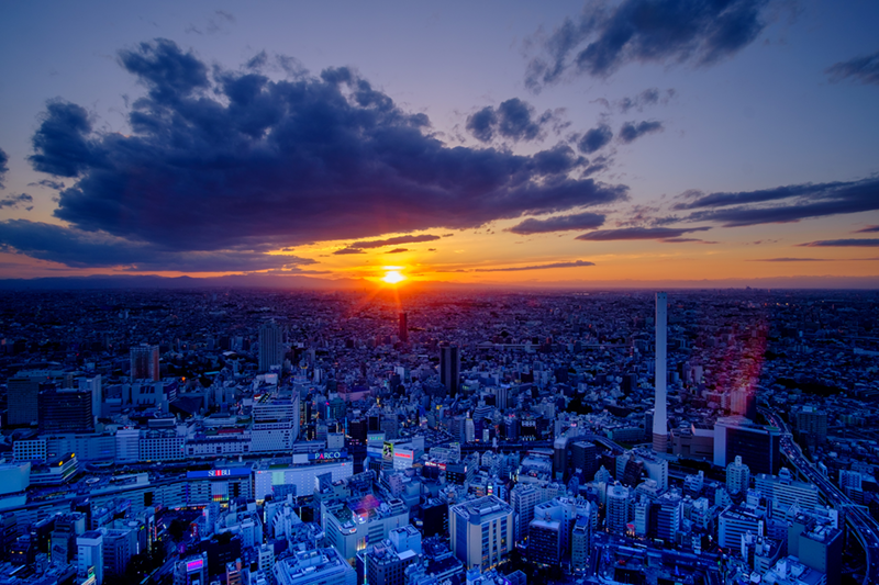 フォトコンテスト入賞作品　一例