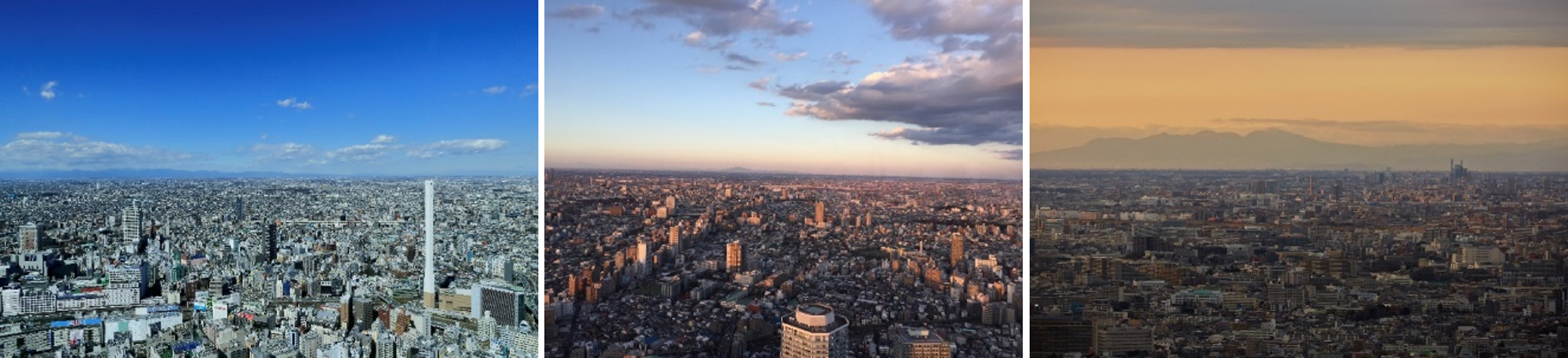 ■イベントスペース方面から見ることができる景色（北側）