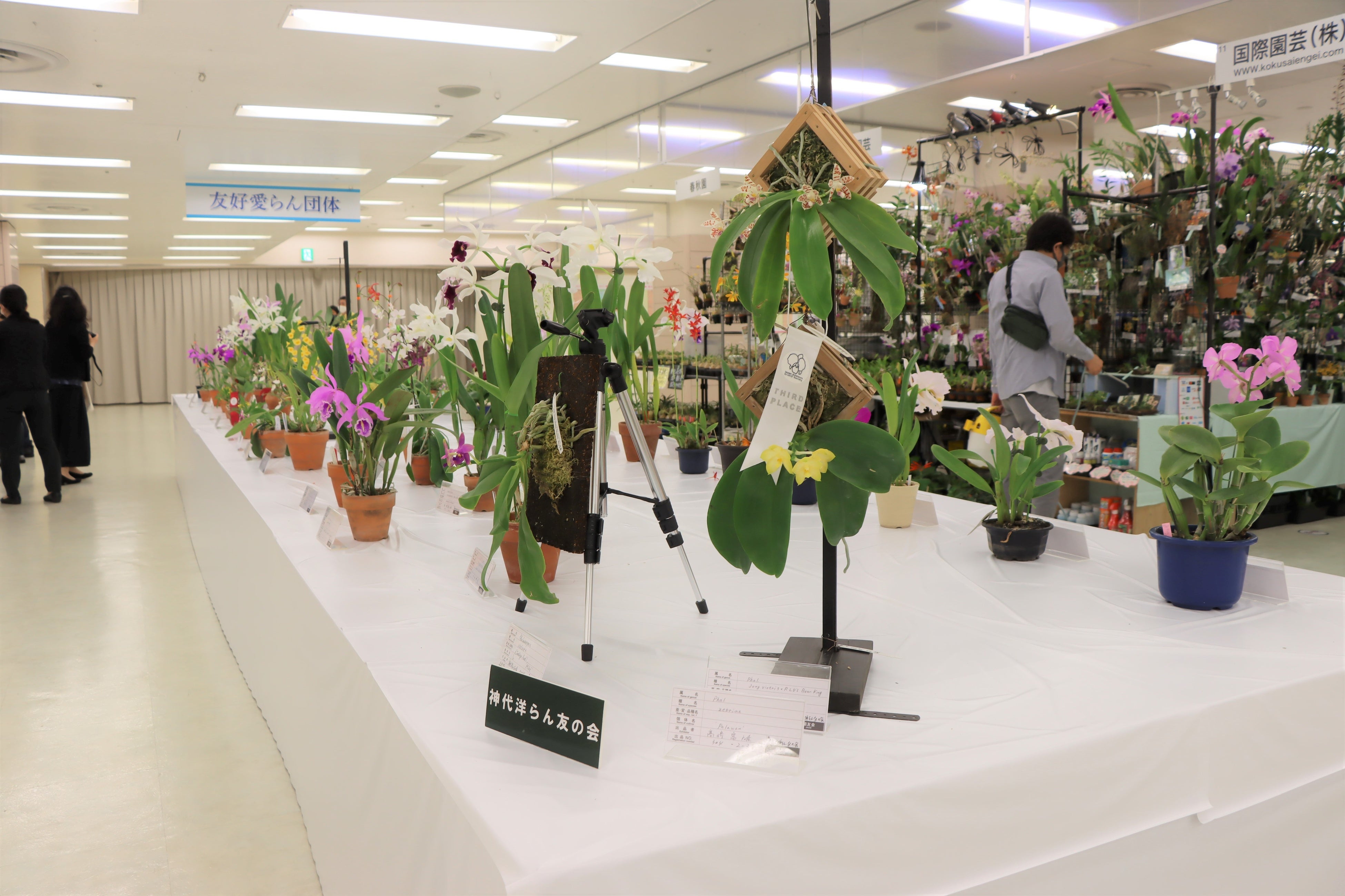 過去の会場の様子