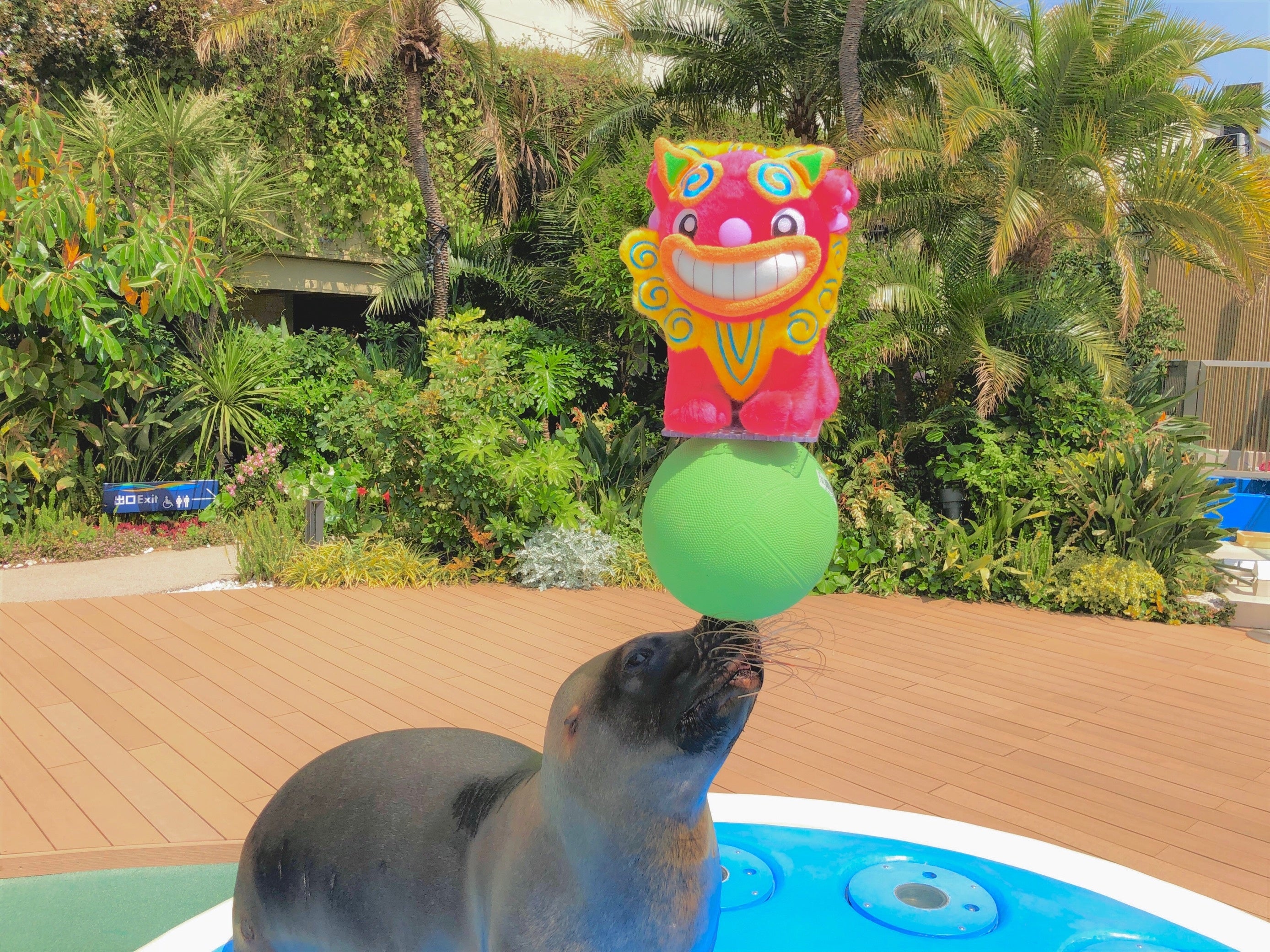 オタリア「クゥ」とシーサー