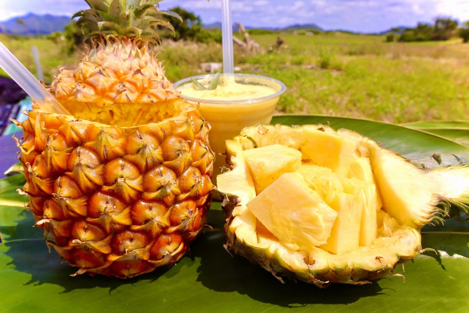 【石垣島パイン～畑人～】カットパイン（右）500円 東京ではなかなか味わえないジューシーで フレッシュな石垣島産のパイナップル！