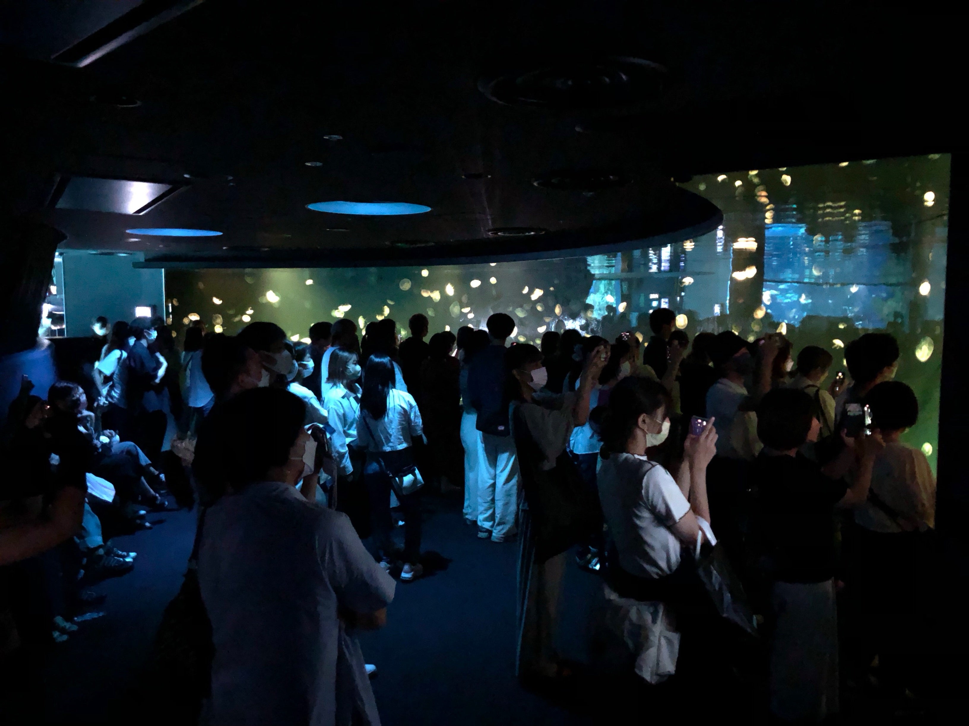 2022年開催「サンシャイン水族館×EXILE～20th ANNIVERSARY～」海月空感（くらげくうかん）演出の様子