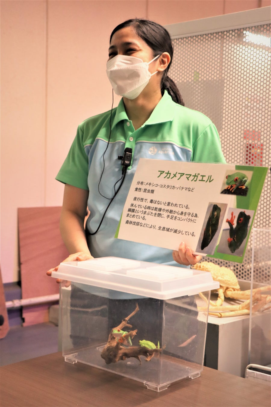 マニアックツアー