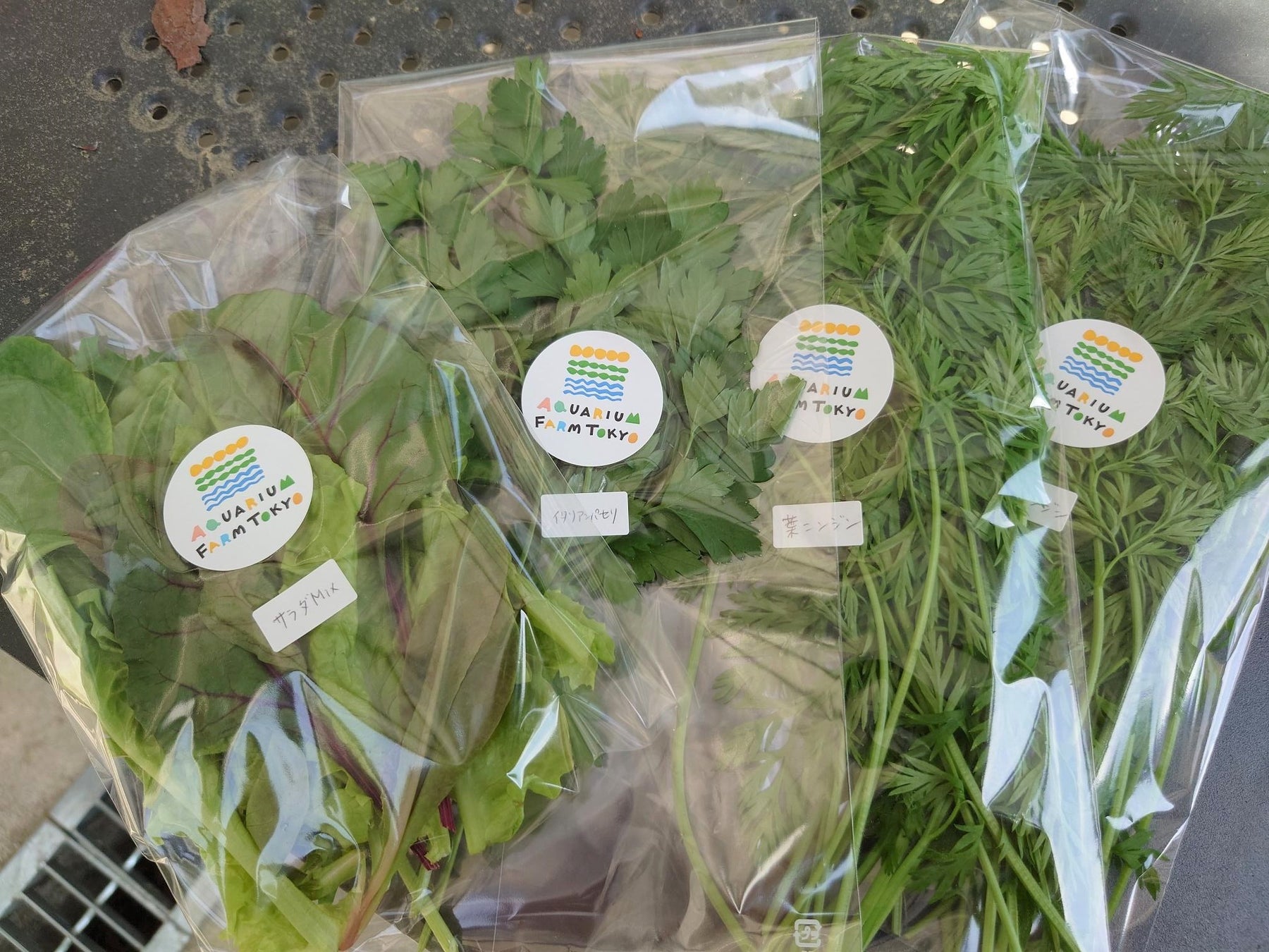 アクアポニックスで栽培した野菜