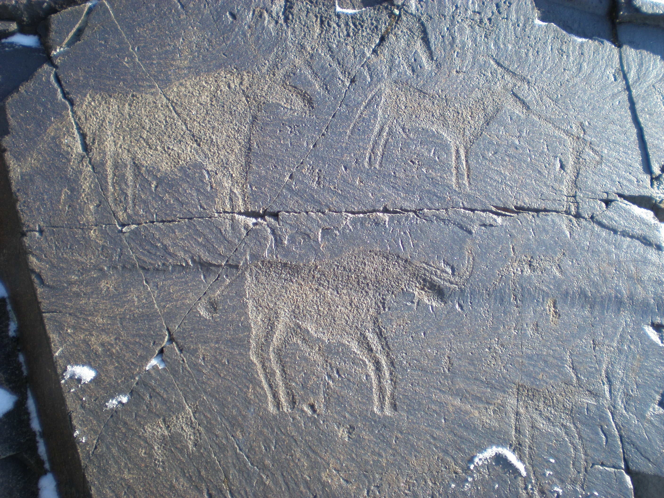 「古代ユーラシア草原世界と動物のかかわり」イメージ カザフスタン共和国タムガル峡谷の岩絵