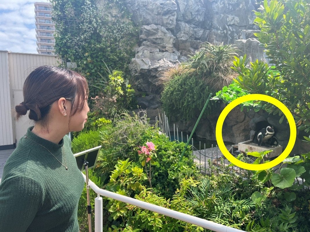 展示の様子(間近で観察できます)