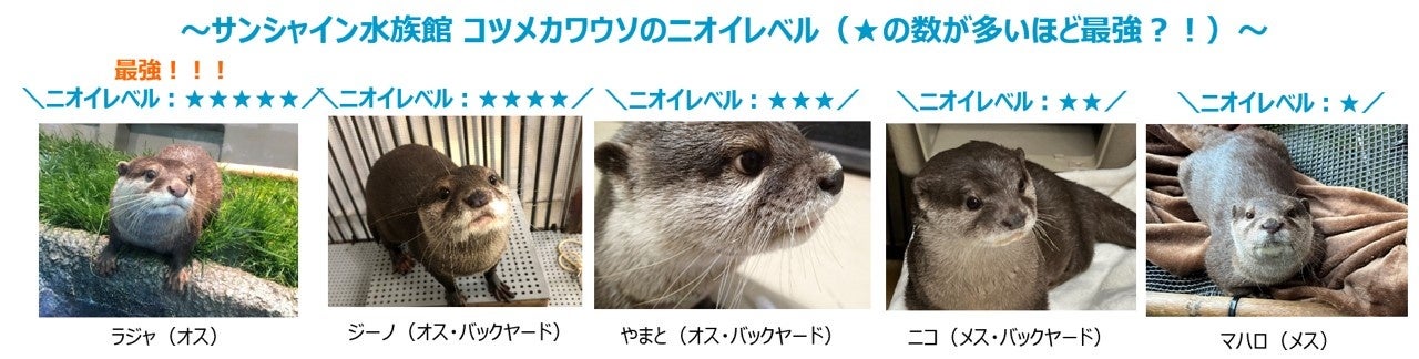 水族館&いきものを深掘り！発見がいっぱい！サンシャイン水族館