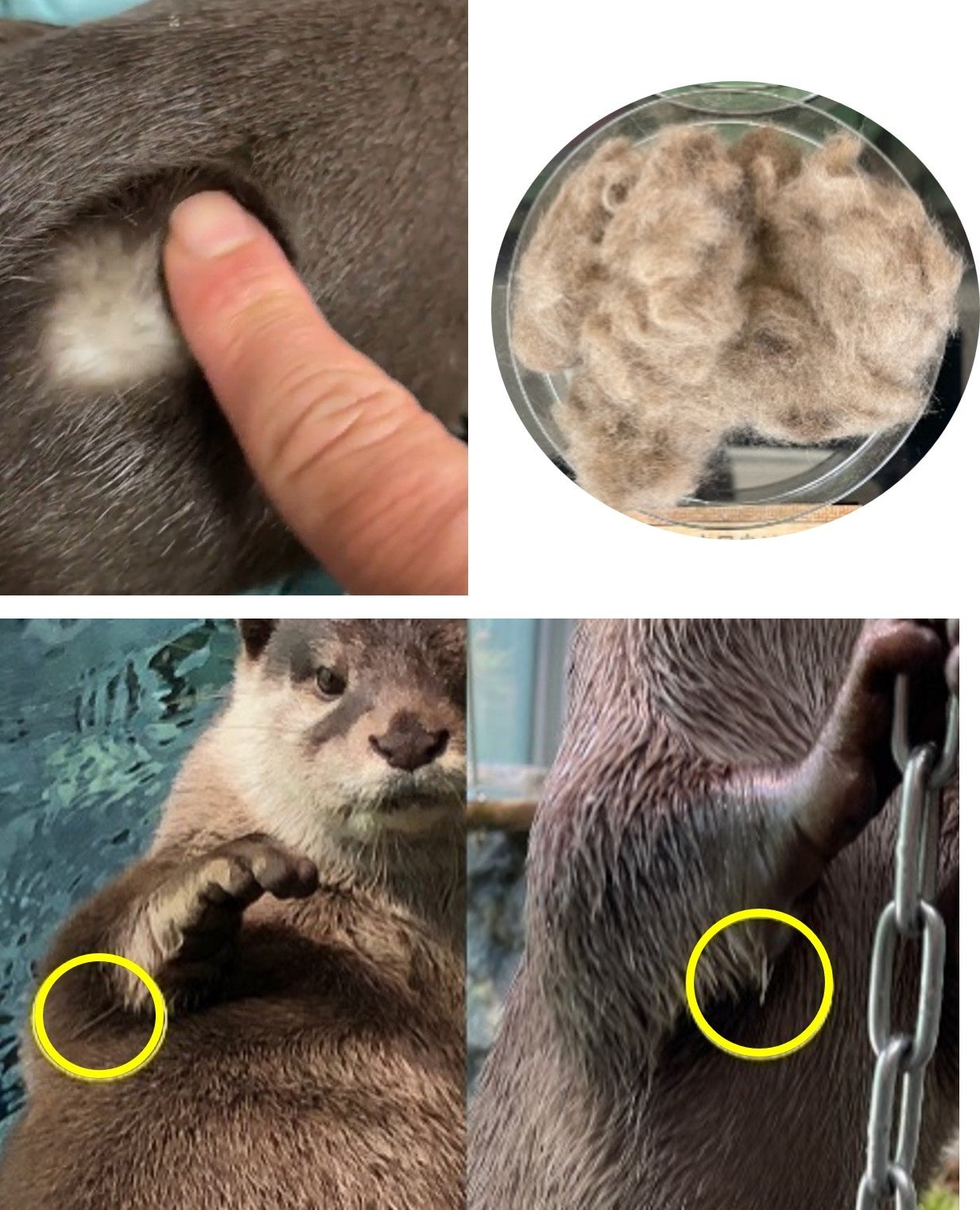 水族館&いきものを深掘り！発見がいっぱい！サンシャイン水族館