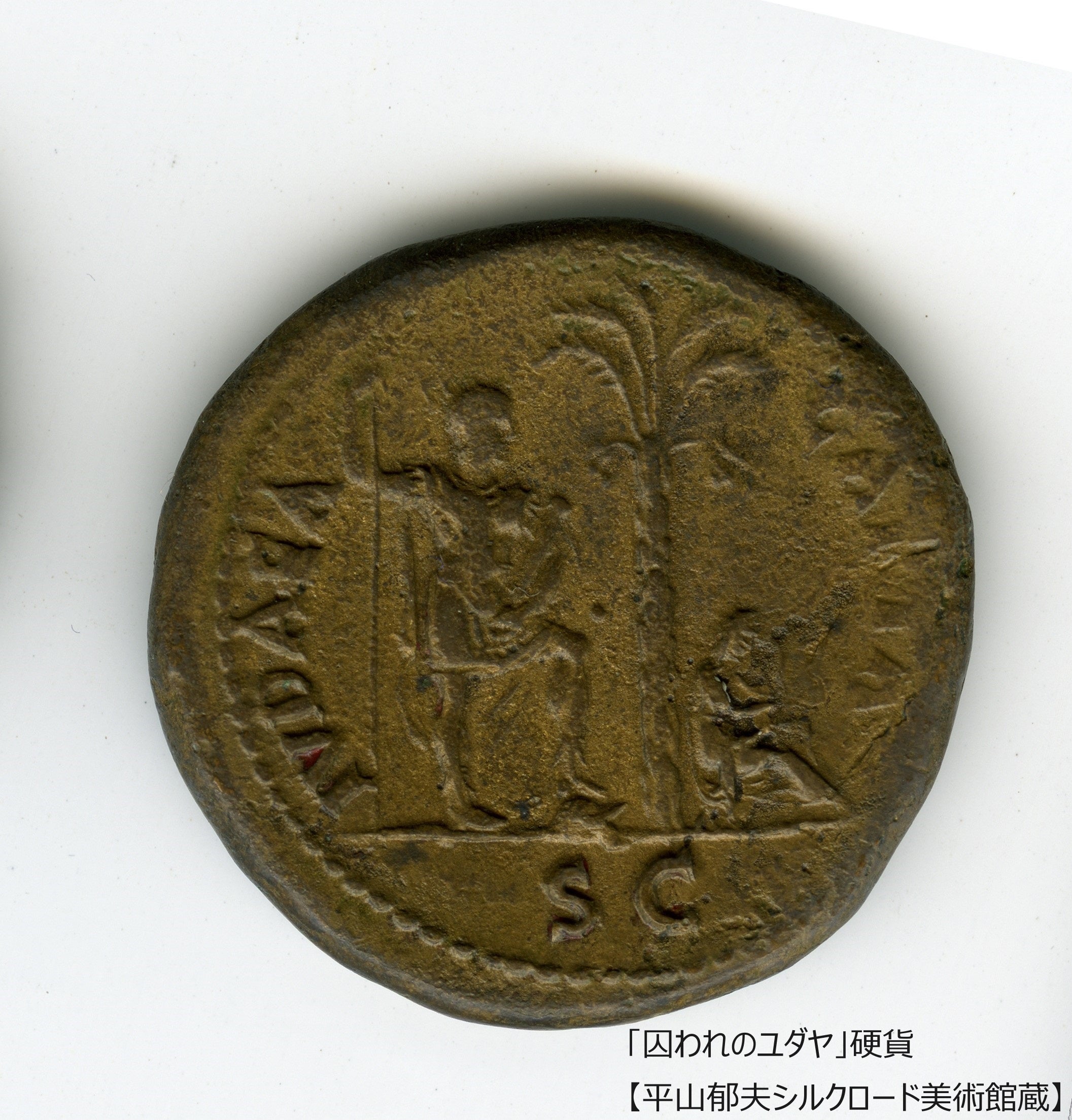 豪華本［旧約聖書］旧約聖書の世界・古代文明の歩みをたどる壮大な写真集 旧約聖書入門1: 現代に語りかける原初の物語 | 大野 惠正, 大野