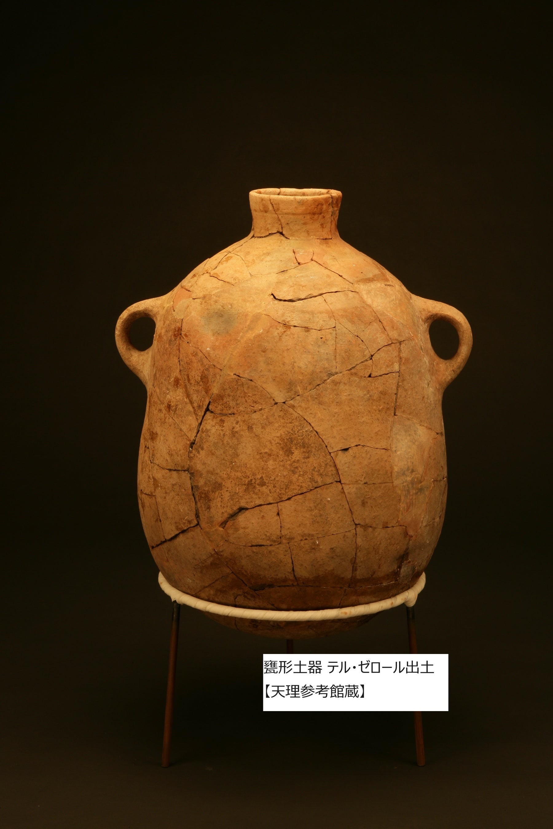 豪華本［旧約聖書］旧約聖書の世界・古代文明の歩みをたどる壮大な写真集 旧約聖書の世界 (岩波現代文庫 文芸 34) | 池田 裕 |本 | 通販