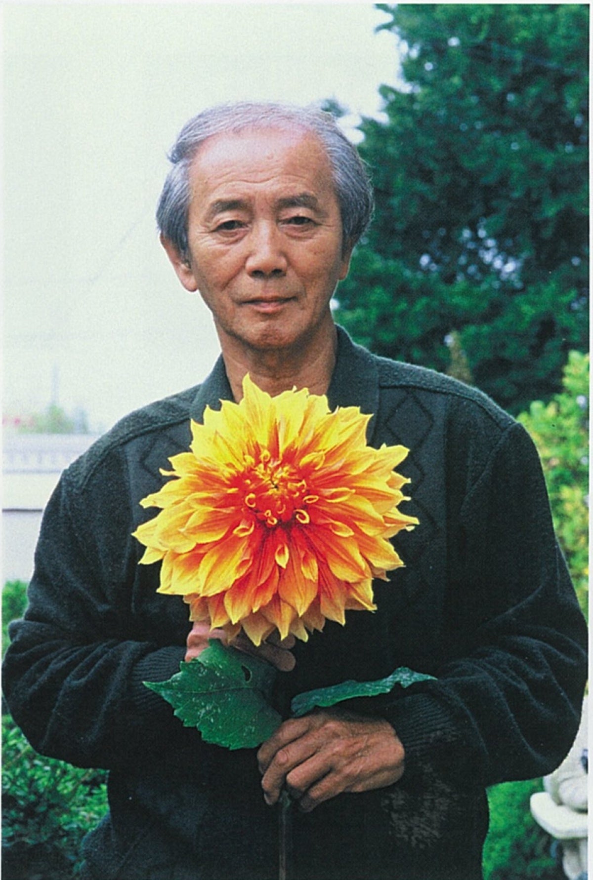 池内璋美 「 蘭花 」　10号　岩彩画　共シール　タトウ　黄袋　BK60 東武百貨店 池袋店】生き生きと豊かな色彩で花々を描く『青木