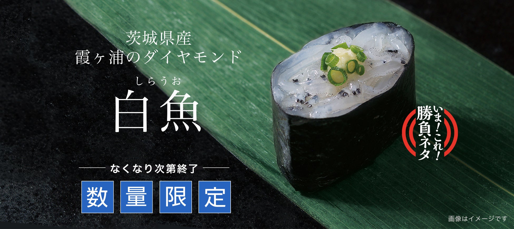 3月21日(月)まで、『茨城県産 白魚』を販売