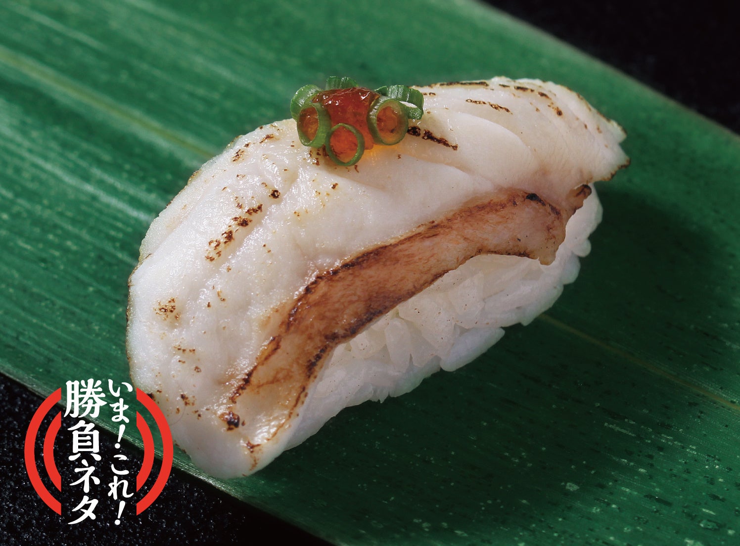 徳島県産 炙りクエ ￥529（税込)