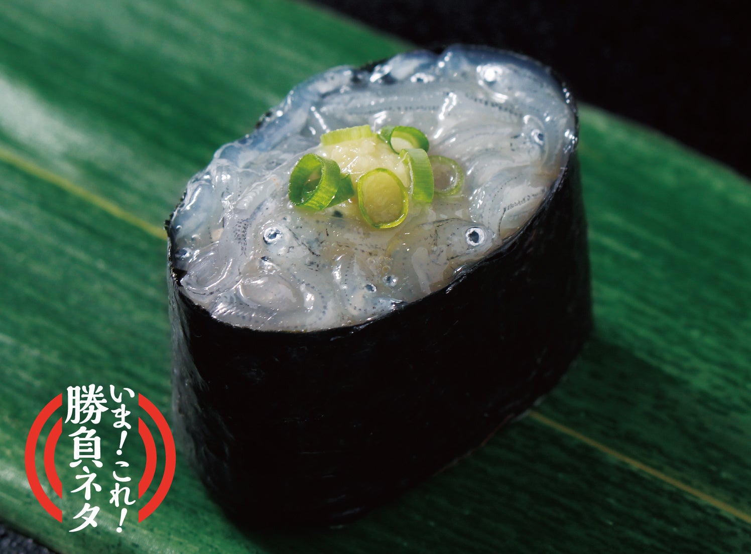 駿河湾産 生しらす ￥270（税込）