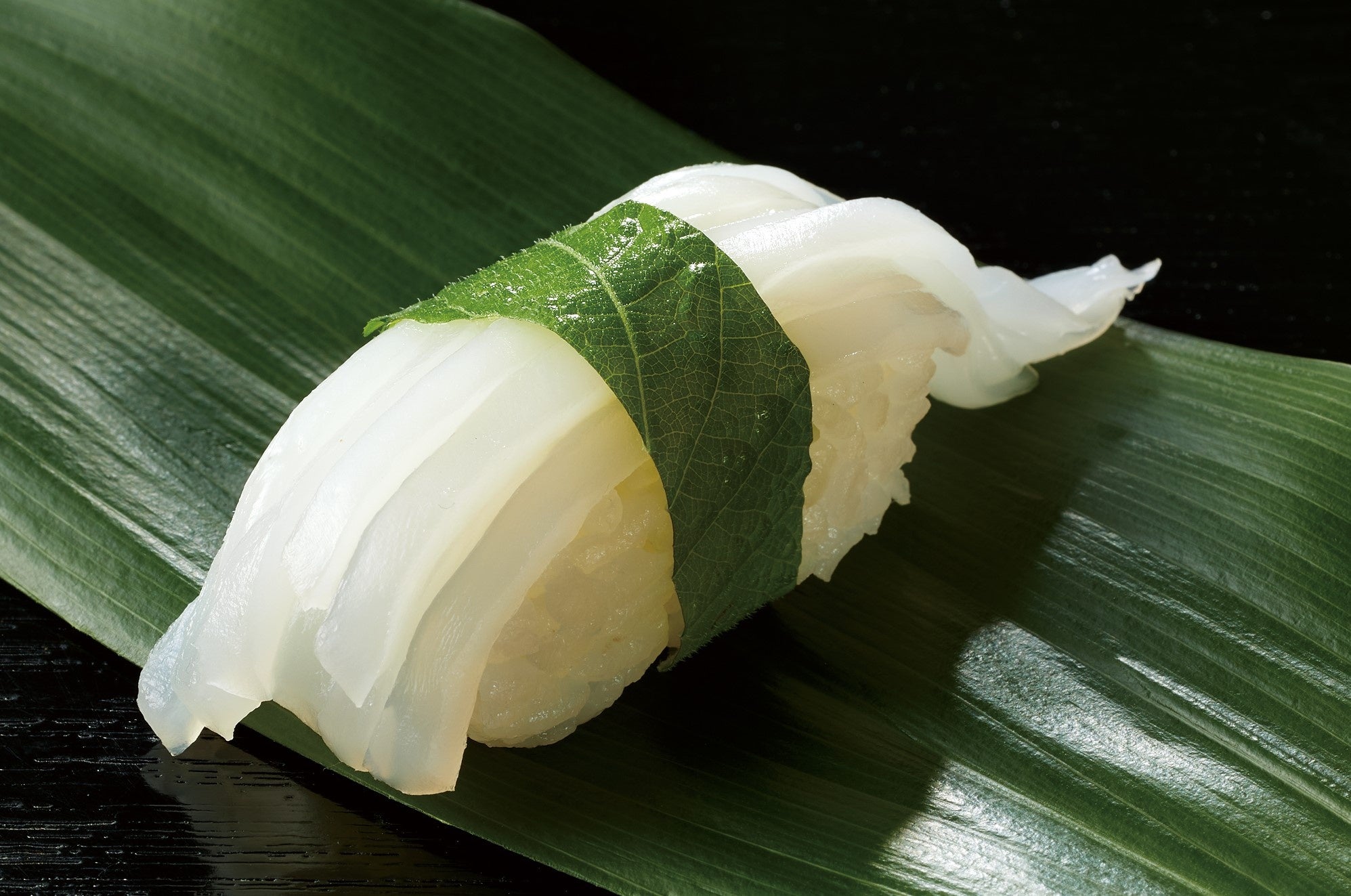 2021年販売  『剣先イカ』 