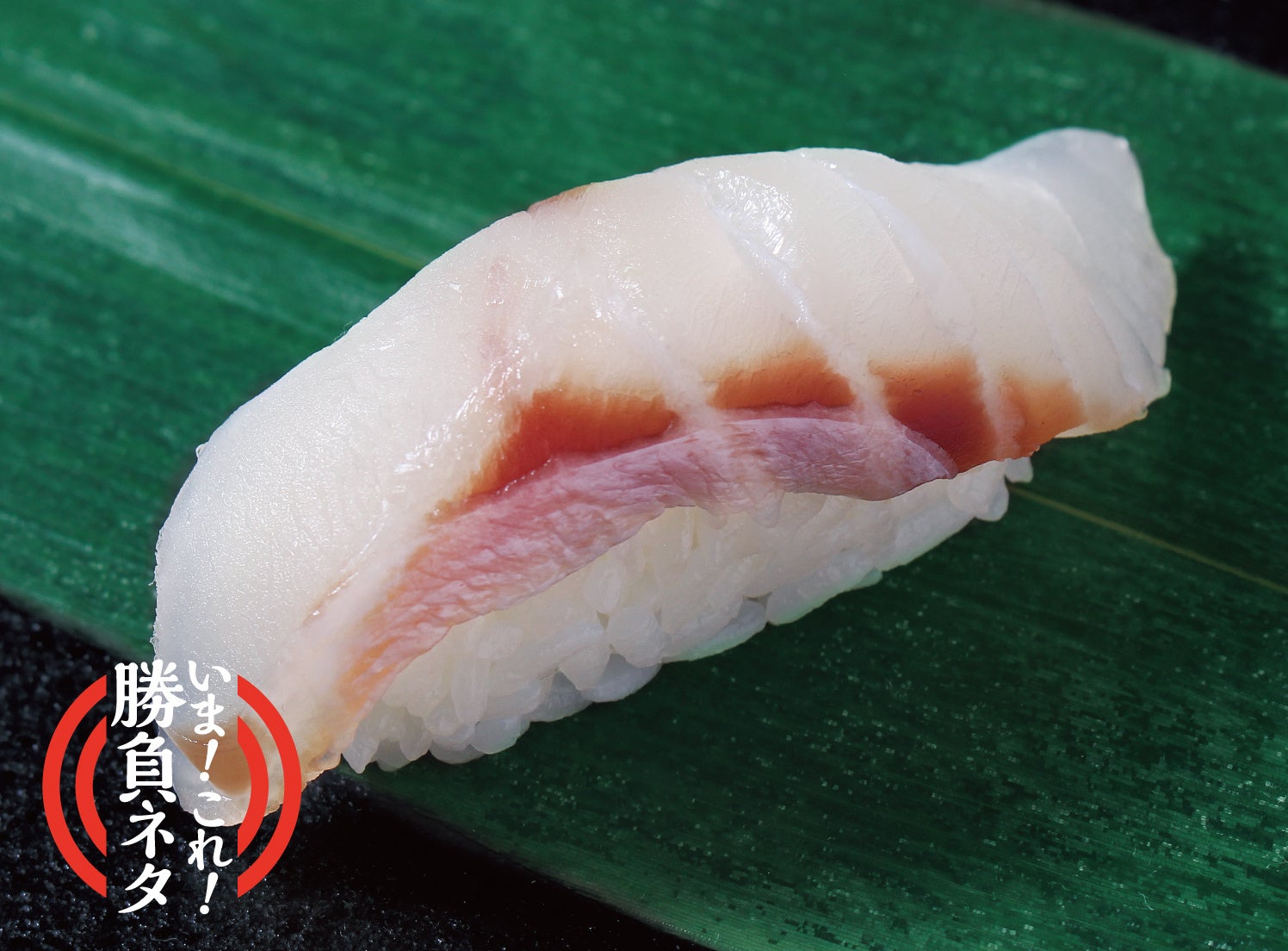 販売中  『宇和島産 マハタ』 