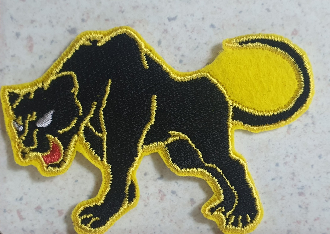 F-4EJ改ファントムからF-2へ航空自衛隊 JASDF 第8飛行隊モデル 予約